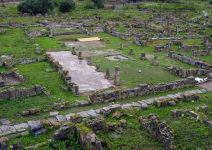 Hippo Regius I
